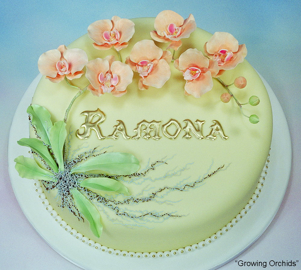 Sculpted Cakes — Celebrating Life Cake Boutique