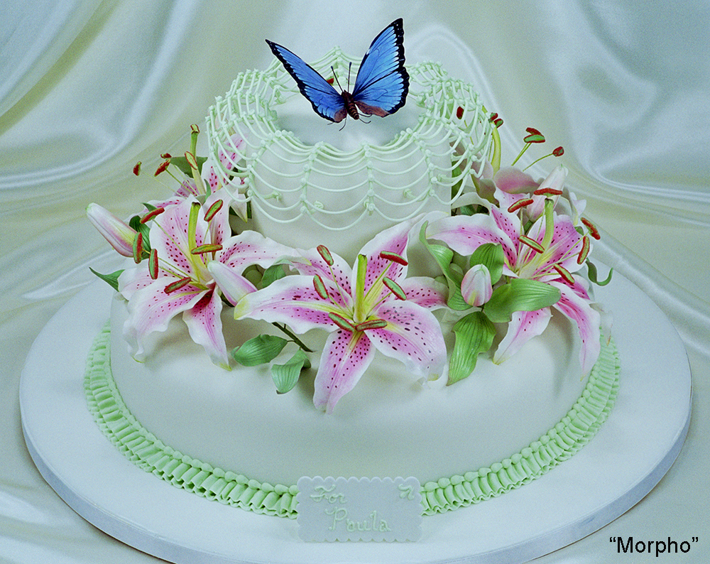 Sculpted Cakes — Celebrating Life Cake Boutique