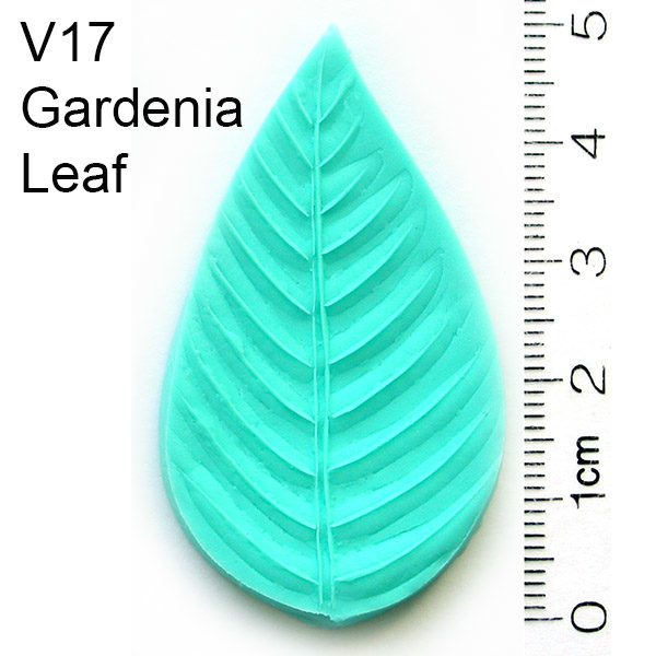 Gardenia Leaf Veiner