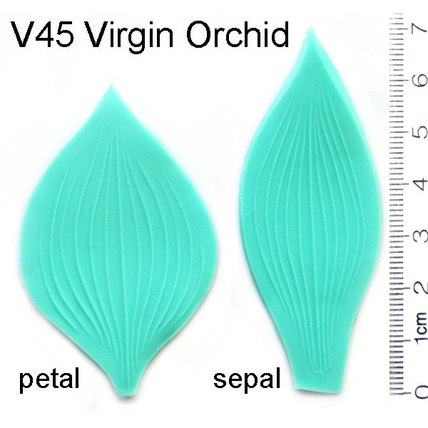 Virgin Orchid