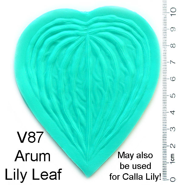 Arum Lily Leaf Veiner