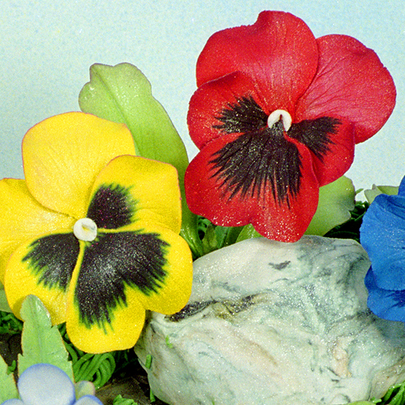 Small Pansy in Sugar