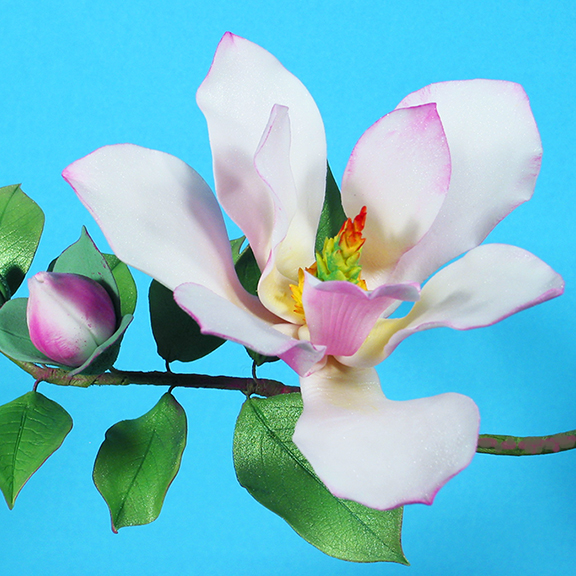 Magnolia In Sugar