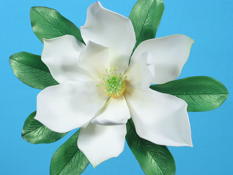 Southern Magnolia Petal Cutter Set By Simply Nature Botanically Correct  Products®