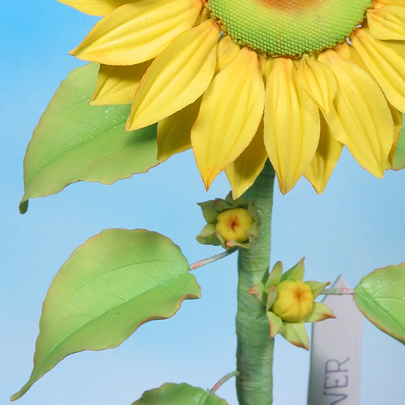 Sunflower Leaf in Sugar