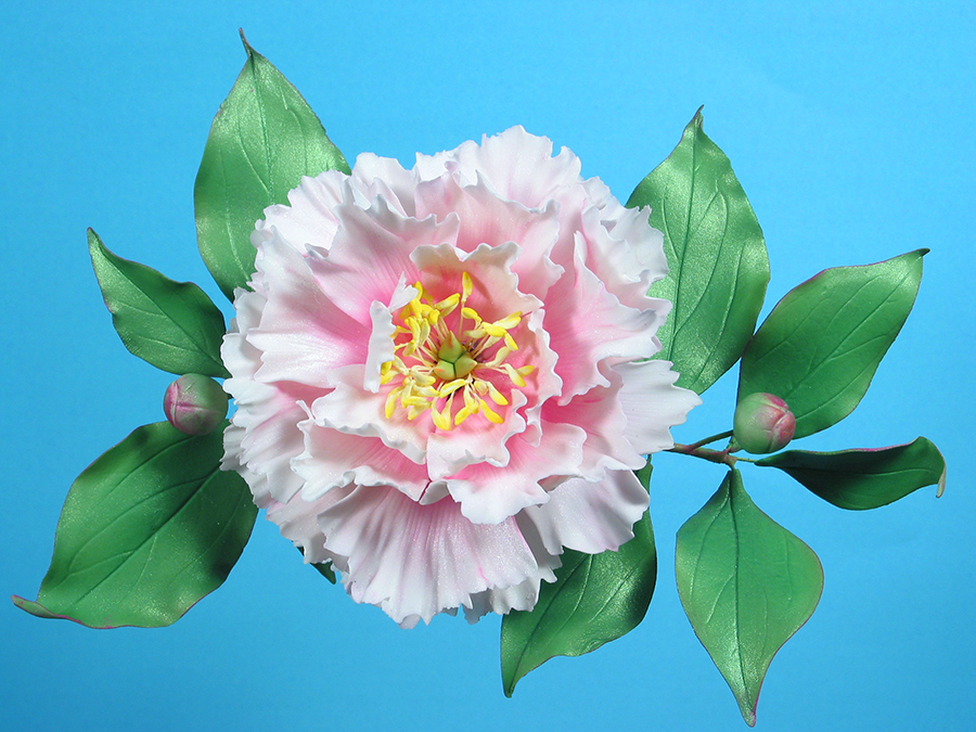 by Framar Cutters Tree Petal Cake Decorating 253 Peony 