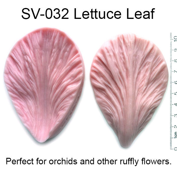 Lettuce Leaf Mold