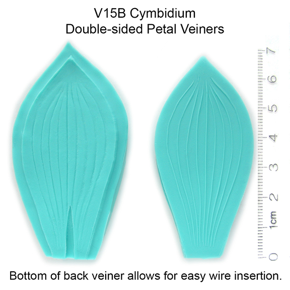 V15B_Cymbidium-Double-sided_Petal_Veiners_576text