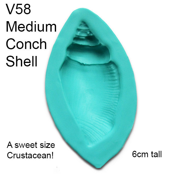 Medium Conch Shell