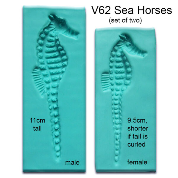 Sea Horse Molds
