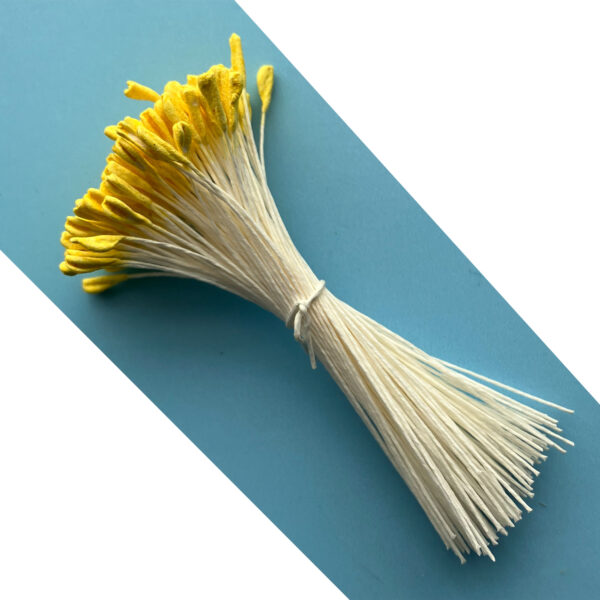 S3-XLFY_Extra_Large_Folded_Tip_Yellow_Stamens_2000