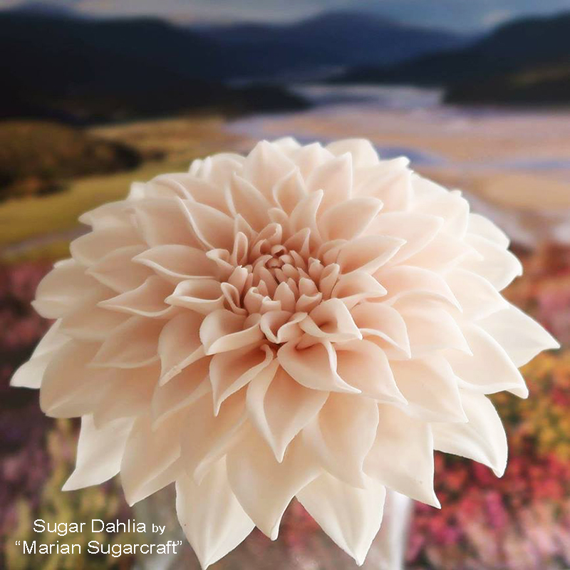 Floral Snips – Columbia River Dahlias