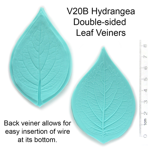 V20B_Hydrange-Double-sided_Leaf_Veiners_576text