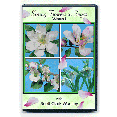 DVD#8 – Spring Flowers In Sugar