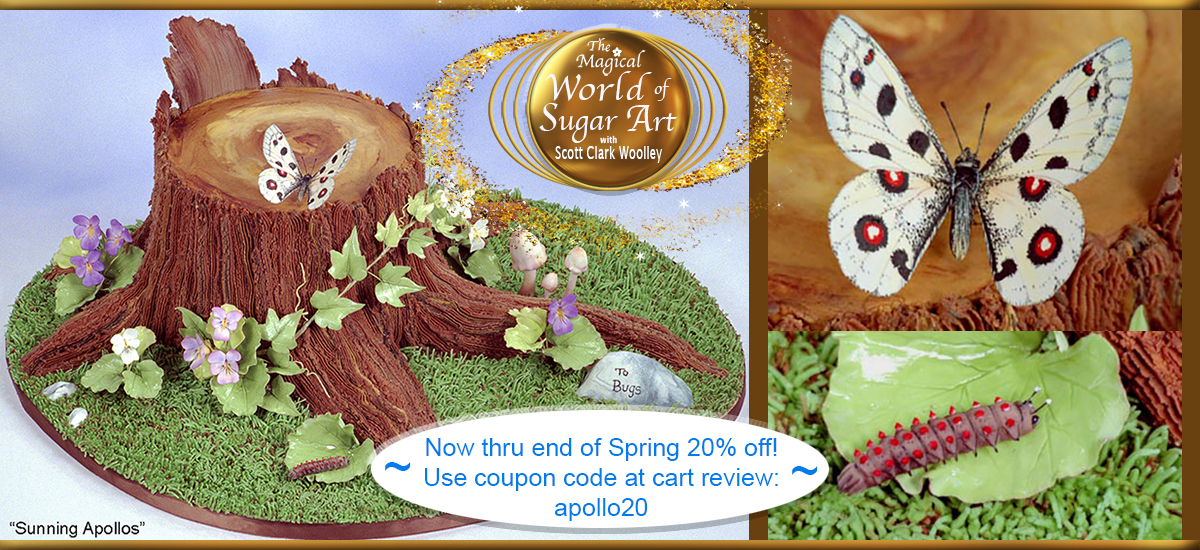 World of Sugar Art